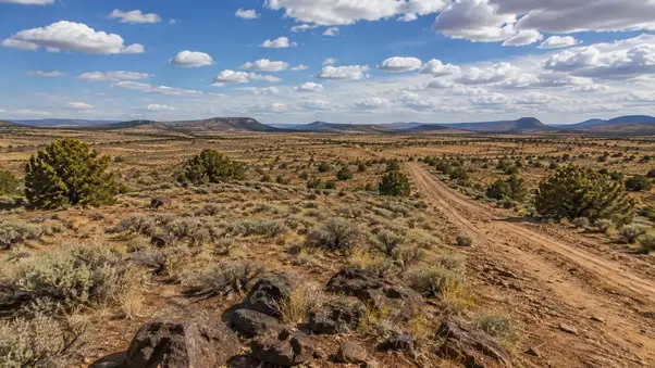 Rural land and undeveloped acreage in Apache County Arizona