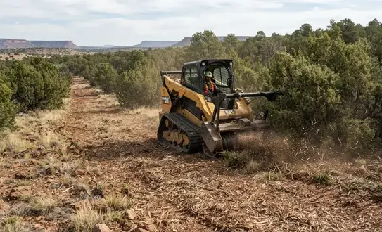 Forestry mulching equipment reducing dense juniper vegetation on a rural Apache County Arizona property