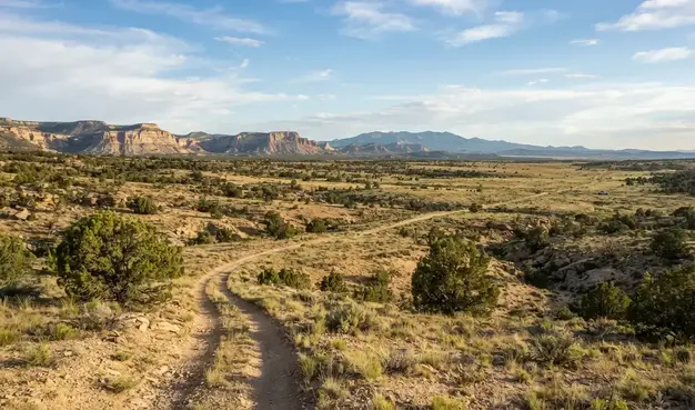 Wide rural landscape in Apache County Arizona representing land grading and leveling service areas throughout the county