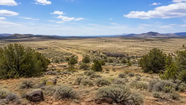 Rural land and undeveloped acreage in Apache County Arizona