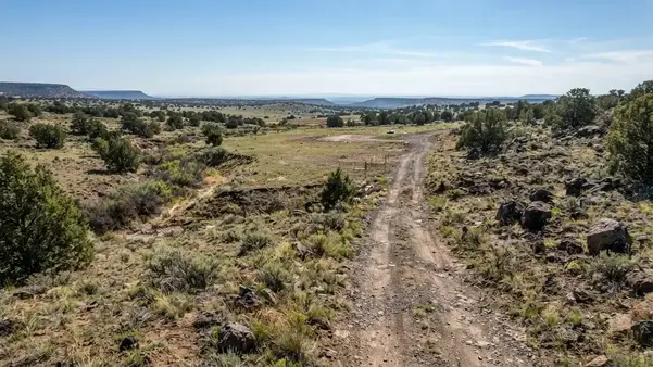 Rural Apache County Arizona property with uneven terrain, dirt access road, native vegetation, and areas suitable for off-grid development