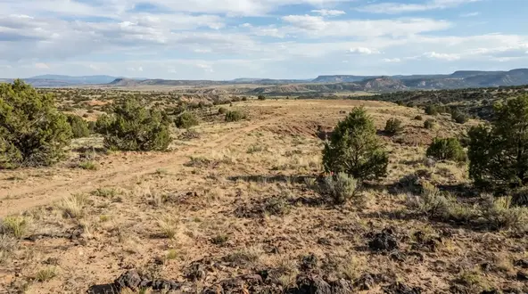 Rural Apache County Arizona property being evaluated for access terrain drainage and future development
