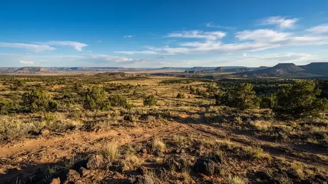 Expansive rural acreage and undeveloped land in Apache County Arizona