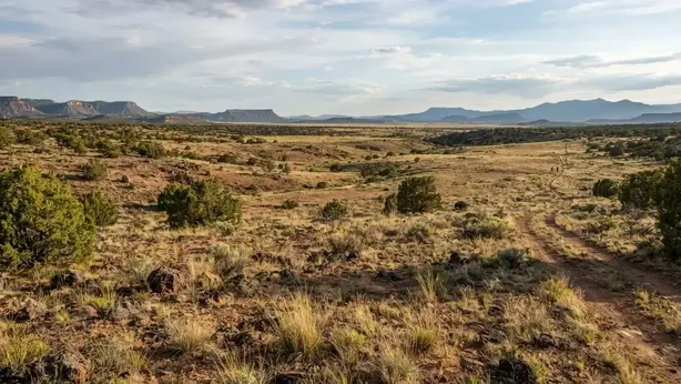 Versatile Apache County Arizona rural property suitable for considering future home, off-grid, recreation, homestead, RV, or workshop uses