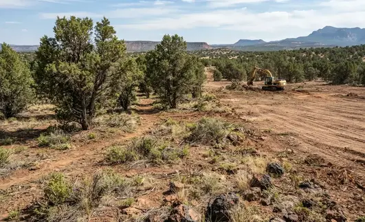 Apache County rural property showing targeted brush removal beside a more extensively cleared area