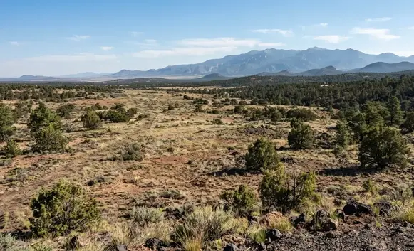 Rural Apache County Arizona terrain with high desert vegetation, juniper, rocky ground, and distant mountains