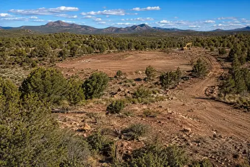 Rural Apache County property with a planned homesite, access route, and selectively cleared development areas