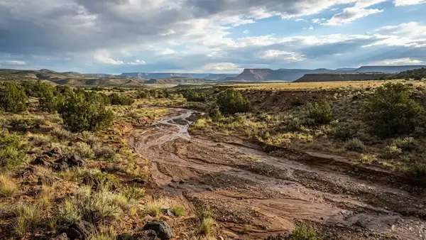 Natural wash and seasonal drainage channel crossing undeveloped rural property in Apache County Arizona